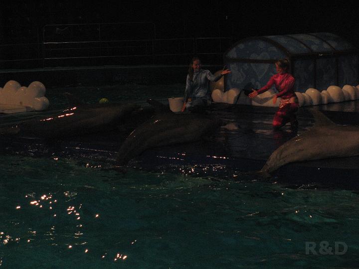 I&Y 30 juni 2010 (4) Dolfinarium Harderwijk.JPG
